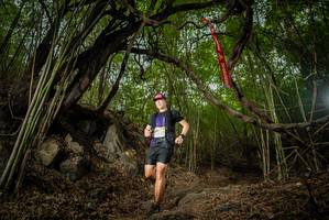 BIB: 
                            <button type="button" onclick="openModal(22179033)" class="btn btn-primary btn-sm float-right btn-popup" data-toggle="modal" data-target=".modal-high-quality">
                        <i class="fas fa-shopping-cart"></i> Add to Cart
                    </button>
                                            <button type="button" onclick="isThisMe(22179033, true)" class="btn btn-success btn-sm float-right btn-popup btn-isme hidden" data-toggle="tooltip" data-placement="bottom" title="นี่คือรูปของคุณใช่ไหม คลิกที่นี่เพื่อเอาเข้าอัลบั้ม">
                        <i class="fas fa-plus"></i> Add to album
                    </button>
                    <button type="button" onclick="isThisMe(22179033, false)" class="btn btn-warning btn-sm float-right btn-popup btn-isnotme hidden">
                        <i class="fas fa-ban"></i> Remove from album
                    </button>